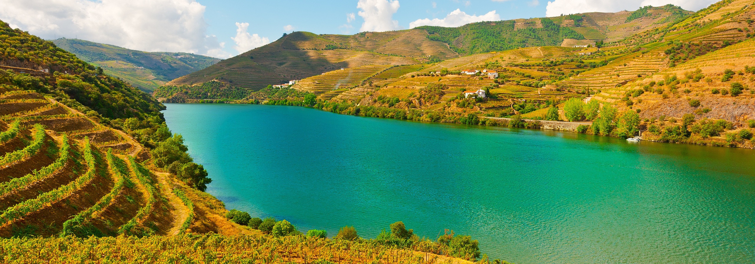 Alto Douro Vinhateiro - Património Mundial da UNESCO