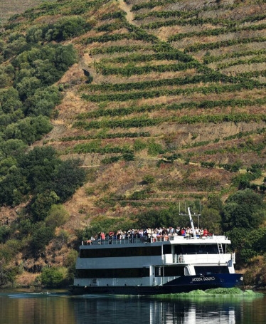 Cruise Régua-Pinhão-Régua (Upstream and Downstream)