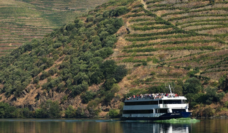 Cruise Régua-Pinhão-Régua (Upstream and Downstream)