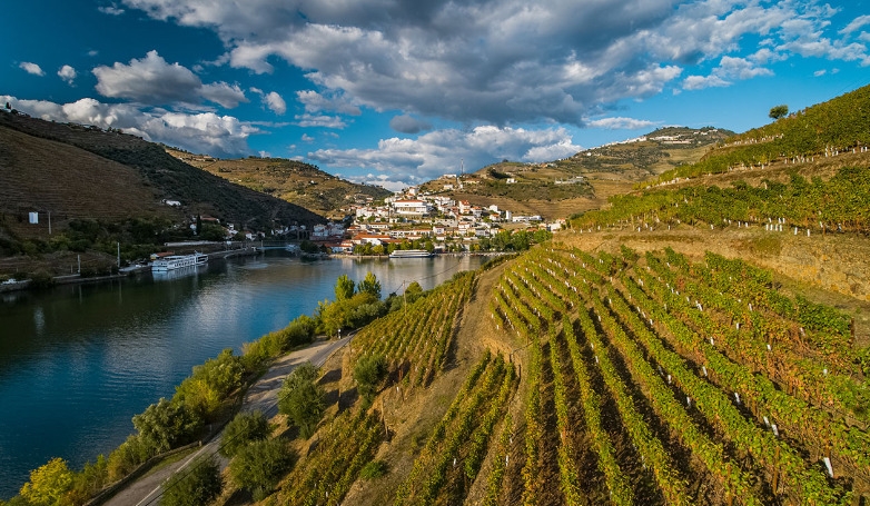 Cruise Porto-Pinhão-Porto (Upstream)