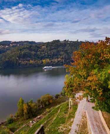 Cruzeiro Porto-Régua-Porto (Subida)