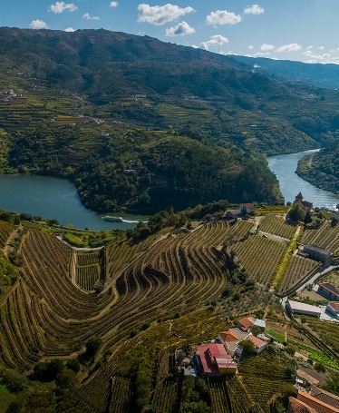 Cruise Porto-Régua-Porto (Downstream)