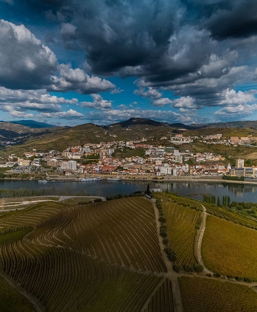 Cruise Porto-Régua-Porto (Downstream)