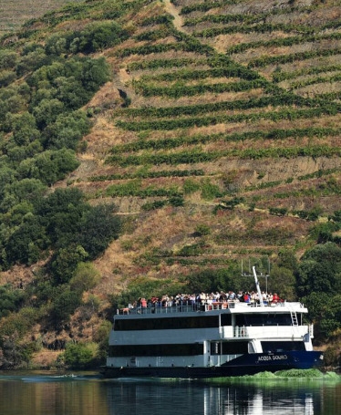 Cruise Régua-Pinhão (Upstream)