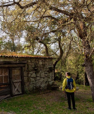 Walking Tour at Quinta do Romeu and Wine Tasting