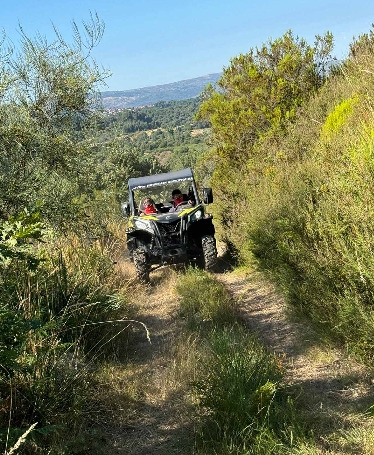 Cross Tour: Buggy Adventure at Monte da Atalaia