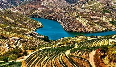 Tour ao Douro Vinhateiro em Carro Privado