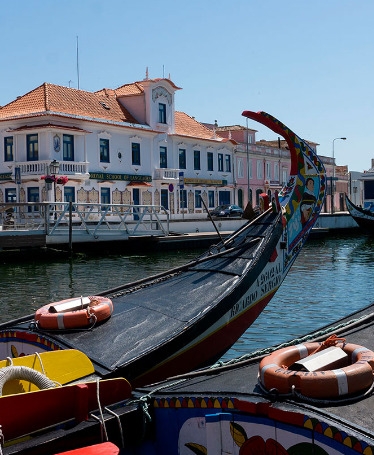 Tour de Meio Dia a Aveiro em Carro Privado