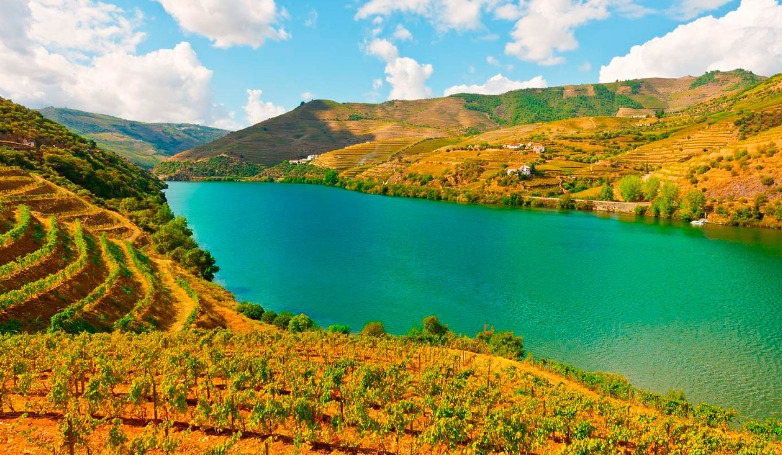 Tour ao Douro Vinhateiro em Carro Privado