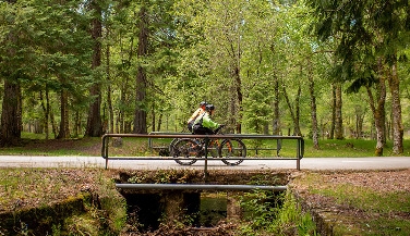 Ebike Tour on Soajo and Serra Amarela