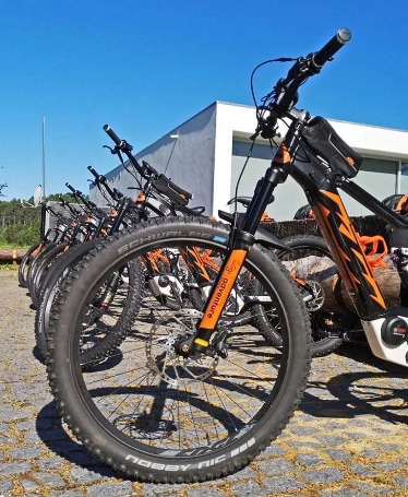 Ebike Rental